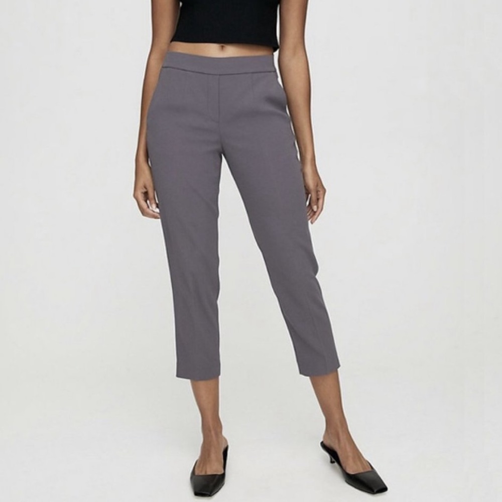 Aritzia Babaton Cohen pants size 4
